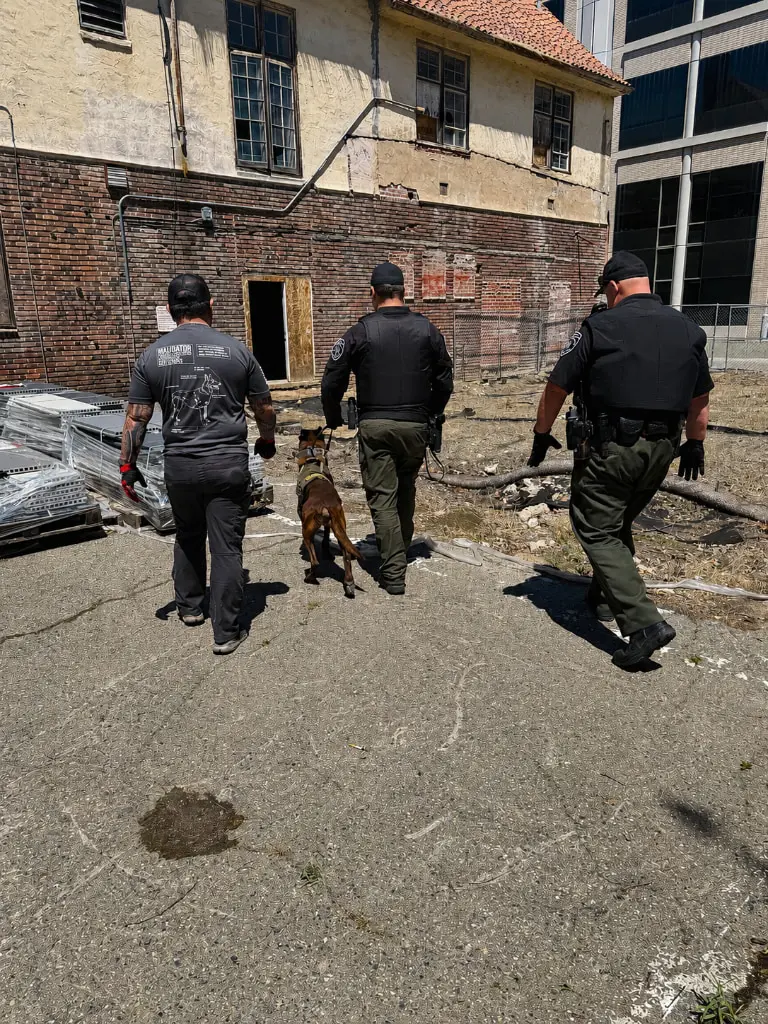 K9 Assisted Patrol